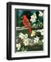 Cardinal-William Vanderdasson-Framed Giclee Print