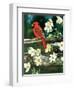 Cardinal-William Vanderdasson-Framed Giclee Print