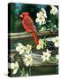 Cardinal-William Vanderdasson-Stretched Canvas