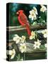 Cardinal-William Vanderdasson-Stretched Canvas