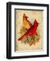 Cardinal-Kate Ward Thacker-Framed Giclee Print