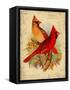 Cardinal-Kate Ward Thacker-Framed Stretched Canvas