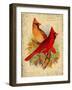 Cardinal-Kate Ward Thacker-Framed Giclee Print