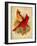 Cardinal-Kate Ward Thacker-Framed Giclee Print