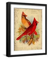 Cardinal-Kate Ward Thacker-Framed Giclee Print