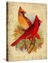 Cardinal-Kate Ward Thacker-Stretched Canvas
