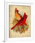 Cardinal-Kate Ward Thacker-Framed Giclee Print