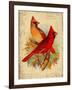 Cardinal-Kate Ward Thacker-Framed Giclee Print