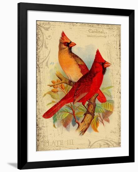 Cardinal-Kate Ward Thacker-Framed Giclee Print