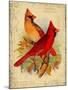 Cardinal-Kate Ward Thacker-Mounted Giclee Print