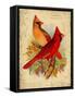 Cardinal-Kate Ward Thacker-Framed Stretched Canvas