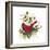 Cardinal-Beverly Johnston-Framed Giclee Print