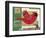 Cardinals 3-Holli Conger-Framed Premium Giclee Print