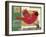 Cardinals 3-Holli Conger-Framed Giclee Print