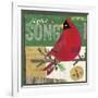 Cardinals 4-Holli Conger-Framed Giclee Print