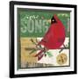 Cardinals 4-Holli Conger-Framed Giclee Print