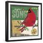 Cardinals 4-Holli Conger-Framed Giclee Print