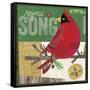 Cardinals 4-Holli Conger-Framed Stretched Canvas