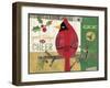 Cardinals 5-Holli Conger-Framed Giclee Print