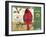 Cardinals 5-Holli Conger-Framed Giclee Print