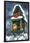 Cardinals and Birdhouse in Snow-William Vanderdasson-Framed Giclee Print