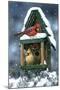 Cardinals and Birdhouse in Snow-William Vanderdasson-Mounted Giclee Print