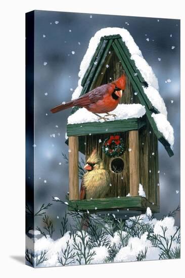 Cardinals and Birdhouse in Snow-William Vanderdasson-Stretched Canvas