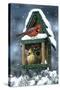 Cardinals and Birdhouse in Snow-William Vanderdasson-Stretched Canvas