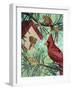 Cardinals And Birdhouse-Kestrel Michaud-Framed Giclee Print