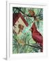 Cardinals And Birdhouse-Kestrel Michaud-Framed Giclee Print