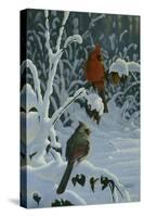 Cardinals and Brambles-Wilhelm Goebel-Stretched Canvas