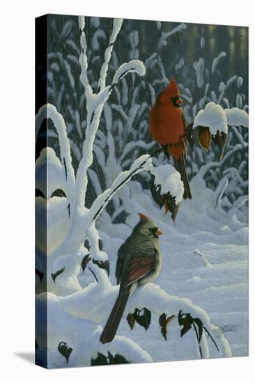 Cardinals and Brambles-Wilhelm Goebel-Stretched Canvas