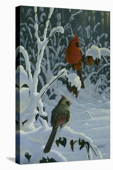Cardinals and Brambles-Wilhelm Goebel-Stretched Canvas