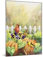 Cardinals in Pumpkin Patch-Sarah Davis-Mounted Giclee Print