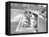 Cardinals Jeering and Waving from their Dugout to the Cubs During a Game-null-Framed Stretched Canvas