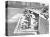 Cardinals Jeering and Waving from their Dugout to the Cubs During a Game-null-Stretched Canvas