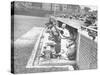 Cardinals Jeering and Waving from their Dugout to the Cubs During a Game-null-Stretched Canvas
