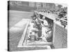 Cardinals Jeering and Waving from their Dugout to the Cubs During a Game-null-Stretched Canvas