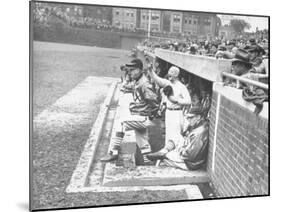 Cardinals Jeering and Waving from their Dugout to the Cubs During a Game-null-Mounted Photographic Print