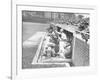 Cardinals Jeering and Waving from their Dugout to the Cubs During a Game-null-Framed Photographic Print