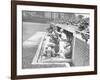 Cardinals Jeering and Waving from their Dugout to the Cubs During a Game-null-Framed Photographic Print