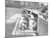 Cardinals Jeering and Waving from their Dugout to the Cubs During a Game-null-Mounted Photographic Print