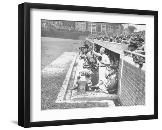 Premium Photographic Print, , large