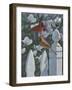 Cardinals Magnolias-Jeffrey Hoff-Framed Giclee Print