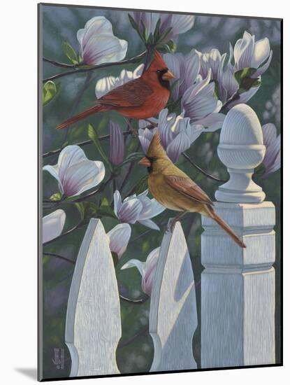 Cardinals Magnolias-Jeffrey Hoff-Mounted Giclee Print