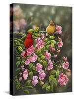 Cardinals with Roses-Sarah Davis-Stretched Canvas