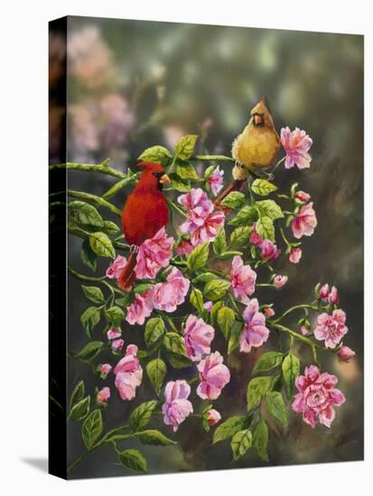 Cardinals with Roses-Sarah Davis-Stretched Canvas