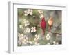 Cardinals-Sarah Davis-Framed Giclee Print