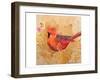 Cardinalsm-null-Framed Art Print