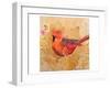 Cardinalsm-null-Framed Art Print